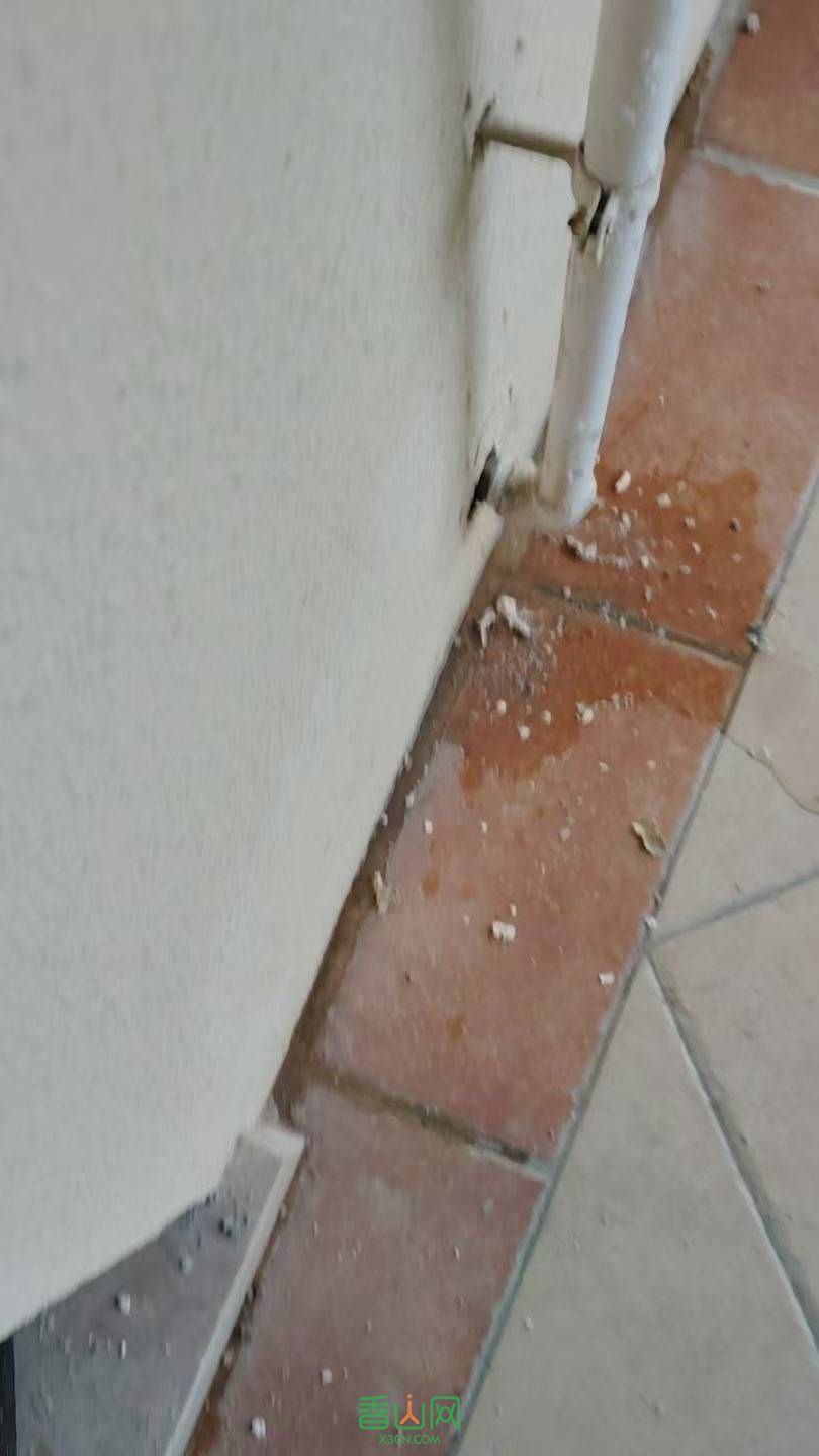 20250305162634front1_0_3356583_Fl_wlOvmgpPD4vfM-4yzvgMi9xkf.jpg